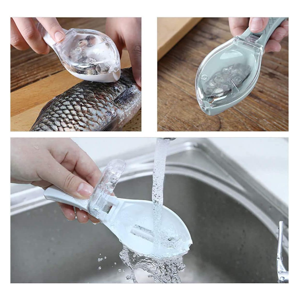 Miniatura 6 de Quita escamas de pescado